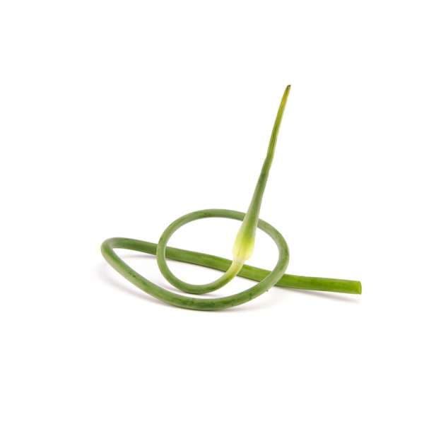 Fleur d'ail