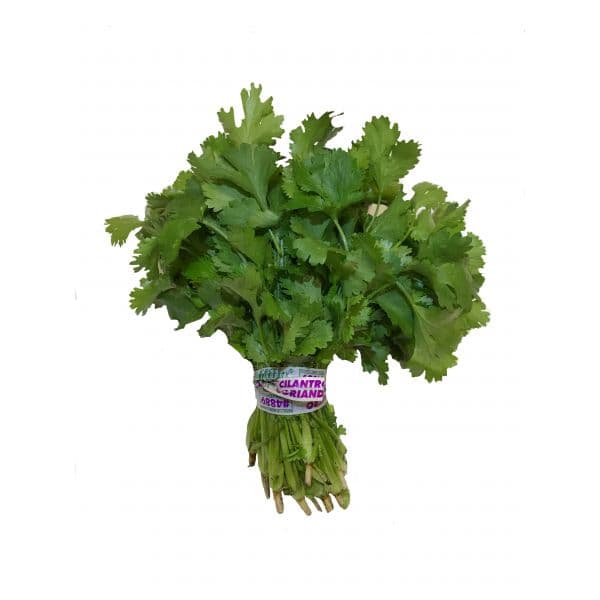 Coriandre fraîche