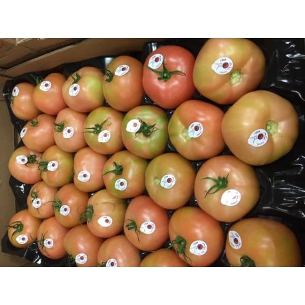 Tomates