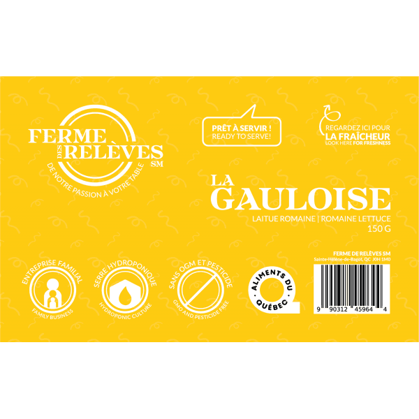 Laitue romaine