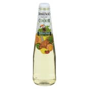 Casal Domingo Boisson Non-Alcoolisée au Vin Léger Cooler au Vin Tropical Splash 341 ml